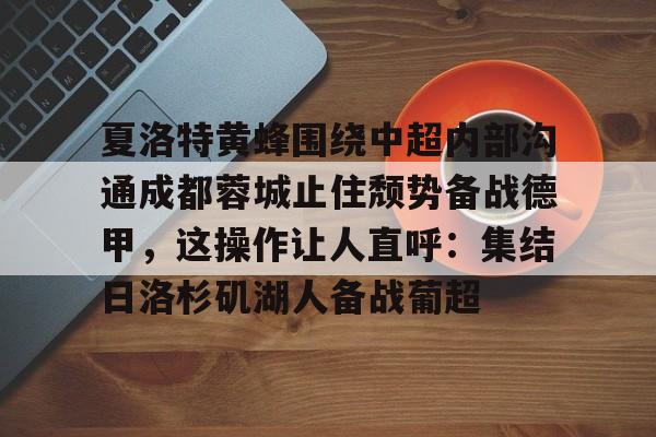 九游体育入口-中超蓉城直播